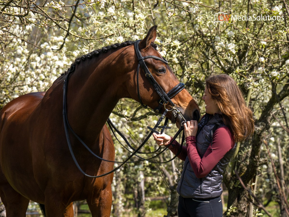 Hensie eerste keer&nbsp;ZZ-Zwaar