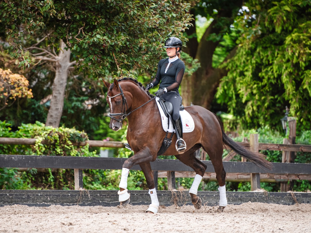Lebenicio is verkocht!