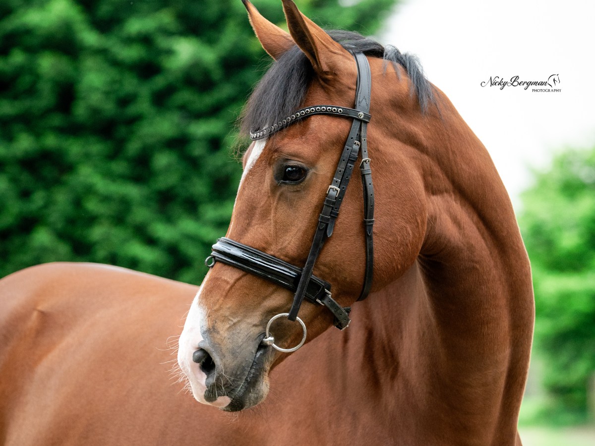 Sevilla wordt VOORLOPIG&nbsp;KEUR!