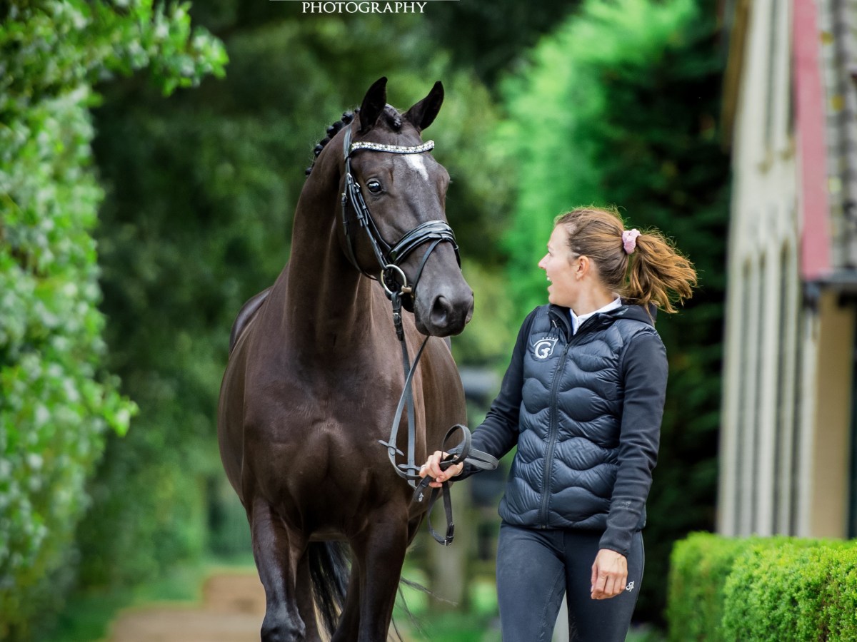 Zeer succesvolle clinic georganiseerd in&nbsp;Zevenbergen!