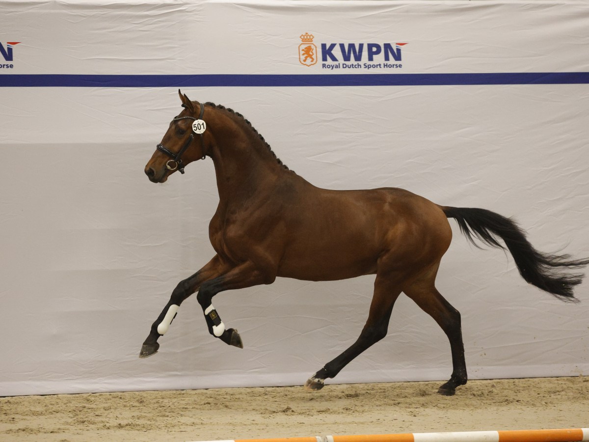 Santiago steelt de show op 1e&nbsp;bezichtiging!
