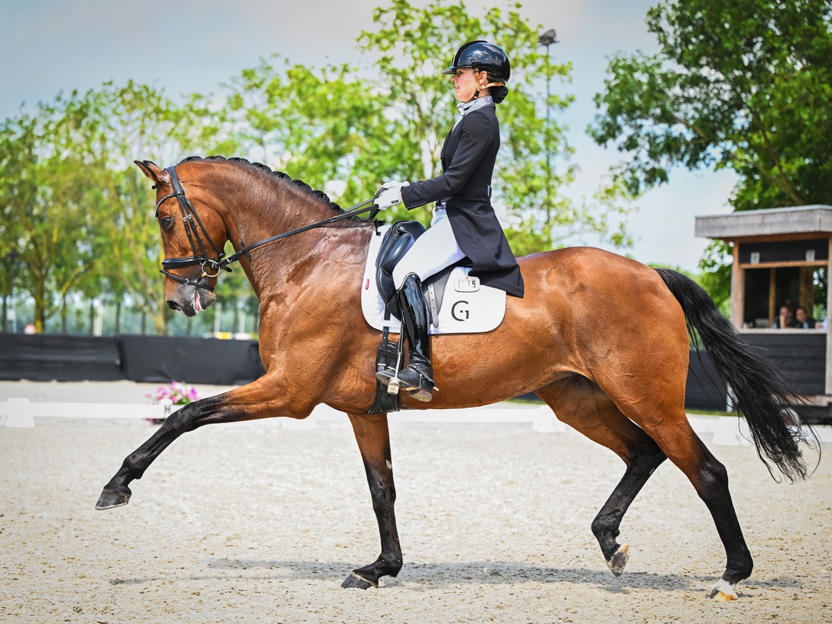 Hensie en Elena starten inter&nbsp;1!